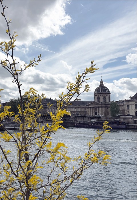 coupole_printemps (Small)