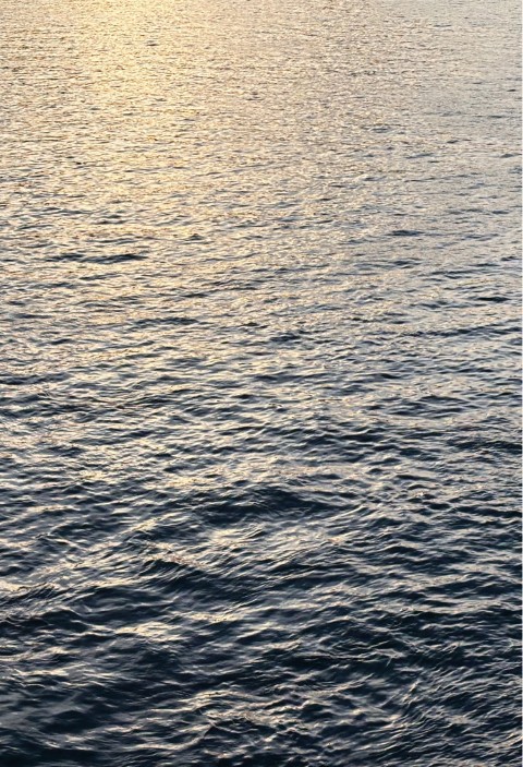 la_seine_surface (Small)