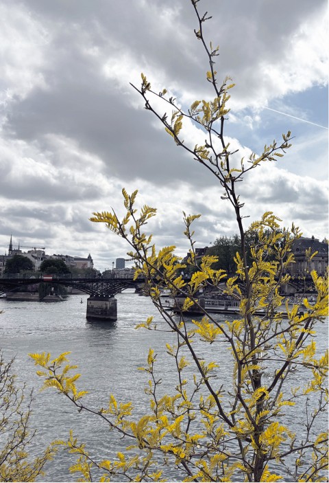 pont_des_arts (Small)